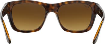 53mm Wayfarer Sunglasses