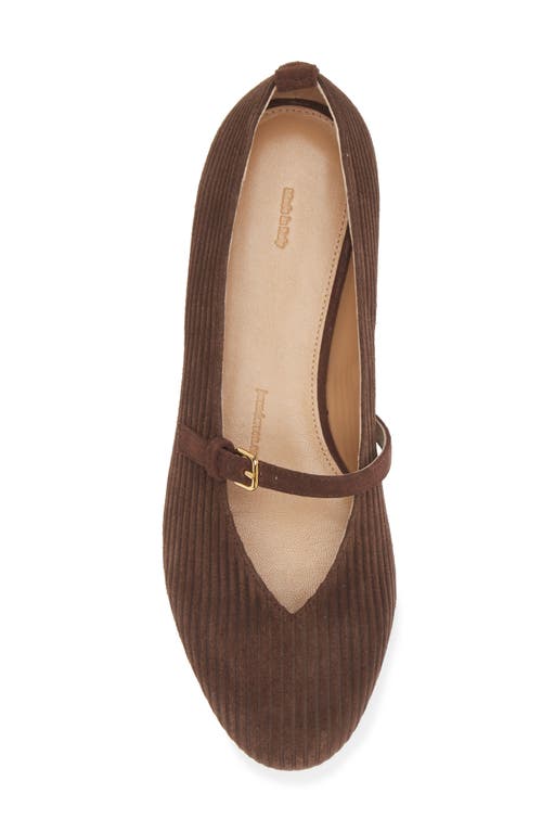 Jw Anderson Suede Mary Jane Flat In Calfsuede Corduroy Brown