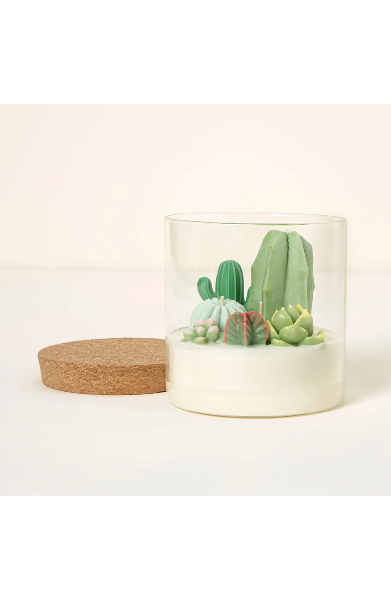 Uncommon Goods Terrarium Candle Large - Cactus Terrarium (Champagne & Peach) by Zoet Studio, Main, color, Champagne & Peach