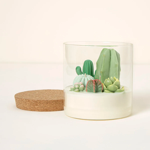 Terrarium Candle Large - Cactus Terrarium (Champagne 
Peach) by Zoet Studio