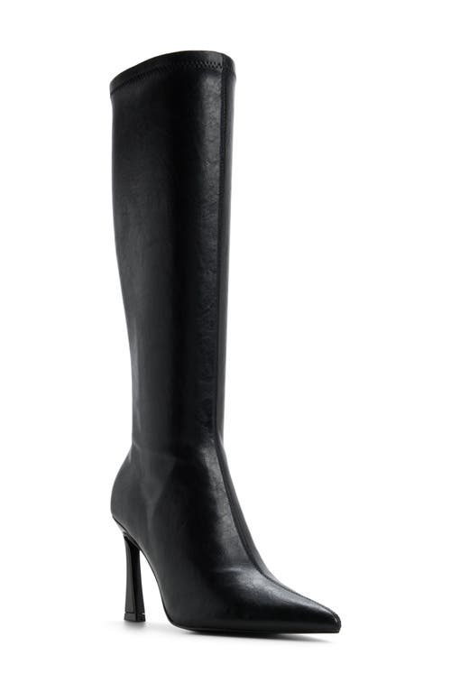 ALDO Jullieta Pointed Toe Knee High Boot in Black at Nordstrom, Size 7