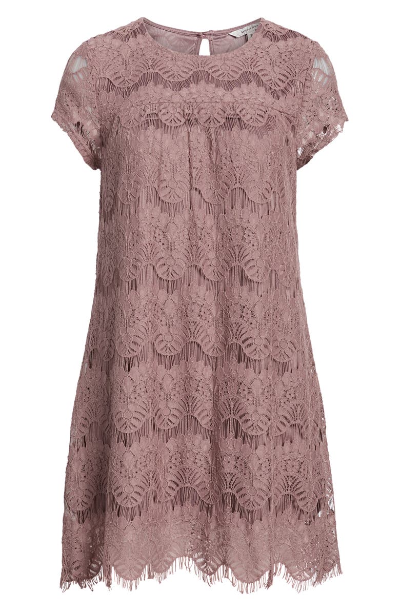 Speechless Lace Shift Dress, Alternate, color, 