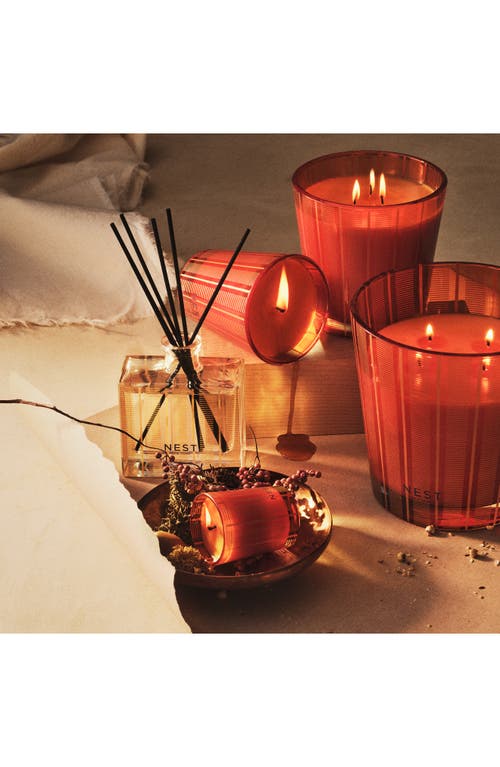 Nest New York Pumpkin Chai Reed Diffuser In Orange