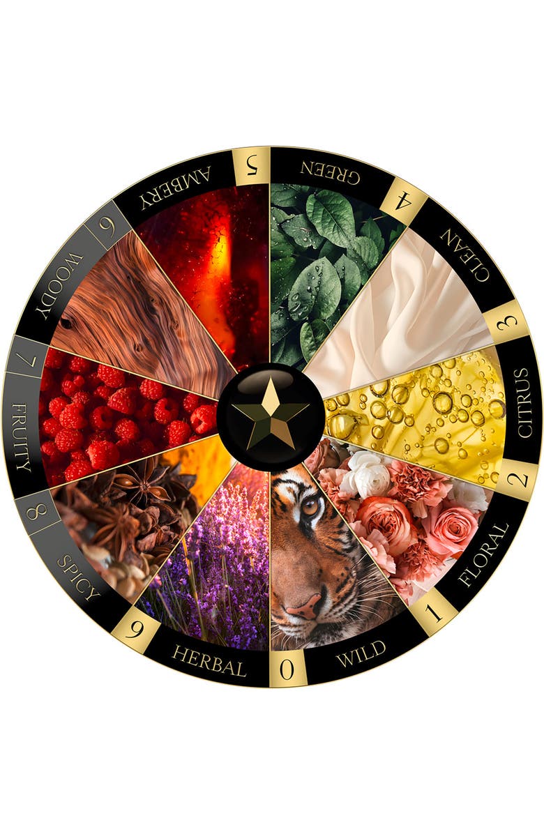 MAISON NOIR Alter Ego 786, Alternate, color, NO COLOR