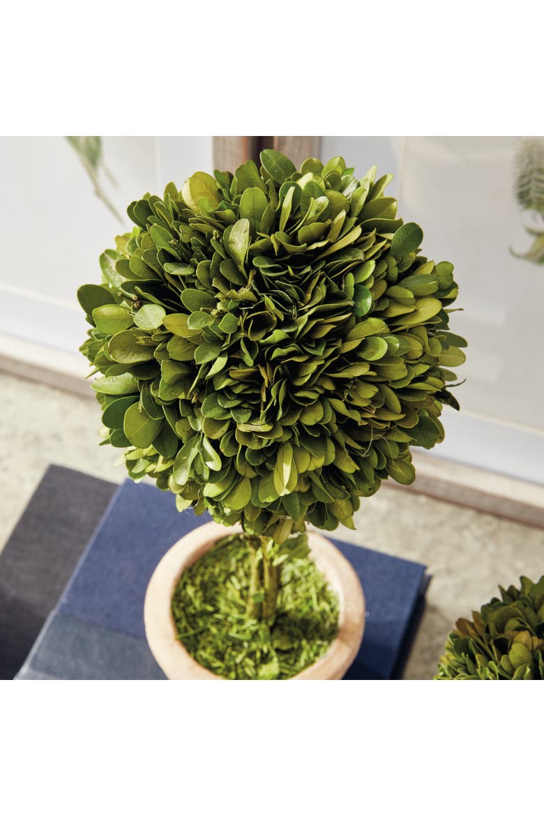 Boxwood Topiaries Faux (Fake) In Pots Set of 5, Alternate, color, Green