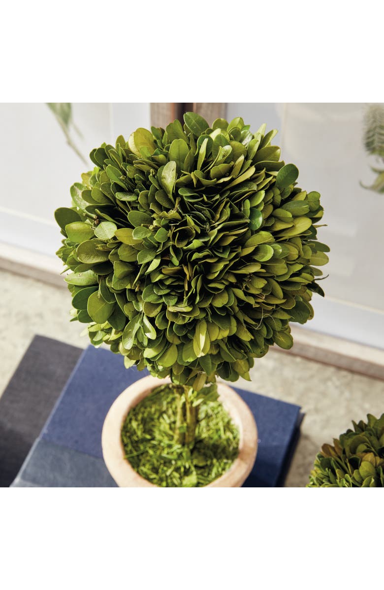 Napa Home & Garden Boxwood Topiaries Faux (Fake) In Pots Set of 5, Alternate, color,