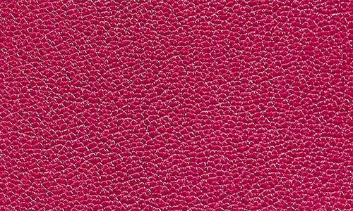 Graphic Image Leather Passport Cover In Pink