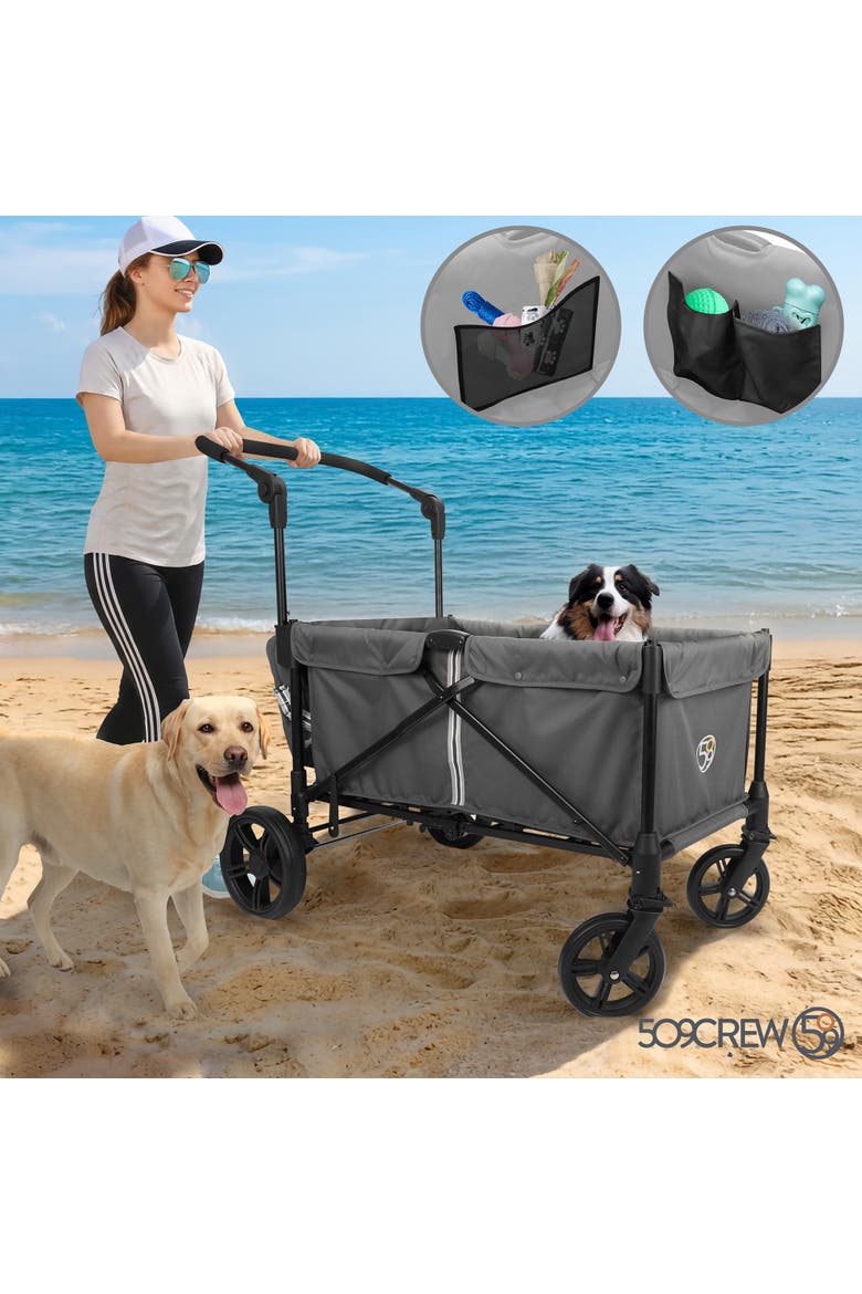 Wag N Stroll Tandem Wagon Push Cart, Alternate, color, Multicolored