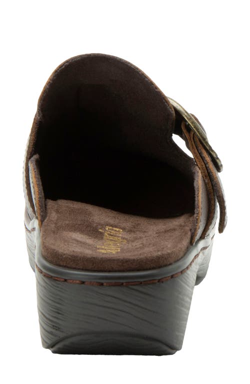Alegria By Pg Lite Osmosis Clog In Brown