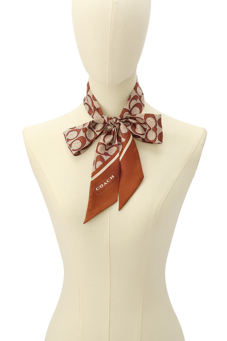 Textured Signature Print Silk Skinny Scarf, Alternate, color, PECAN