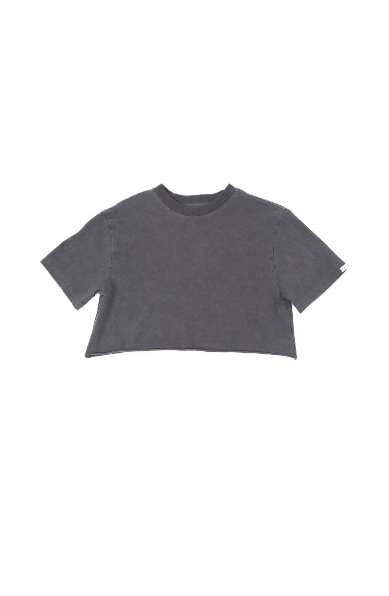 ARIKO Beach Crop Tee, Main, color, Sea Grey