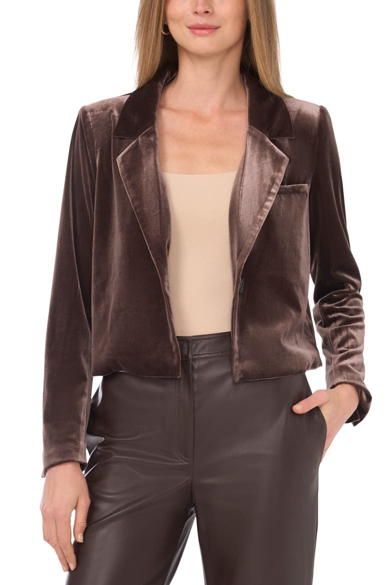 Velvet Crop Blazer, Alternate, color, CHOCOLATE