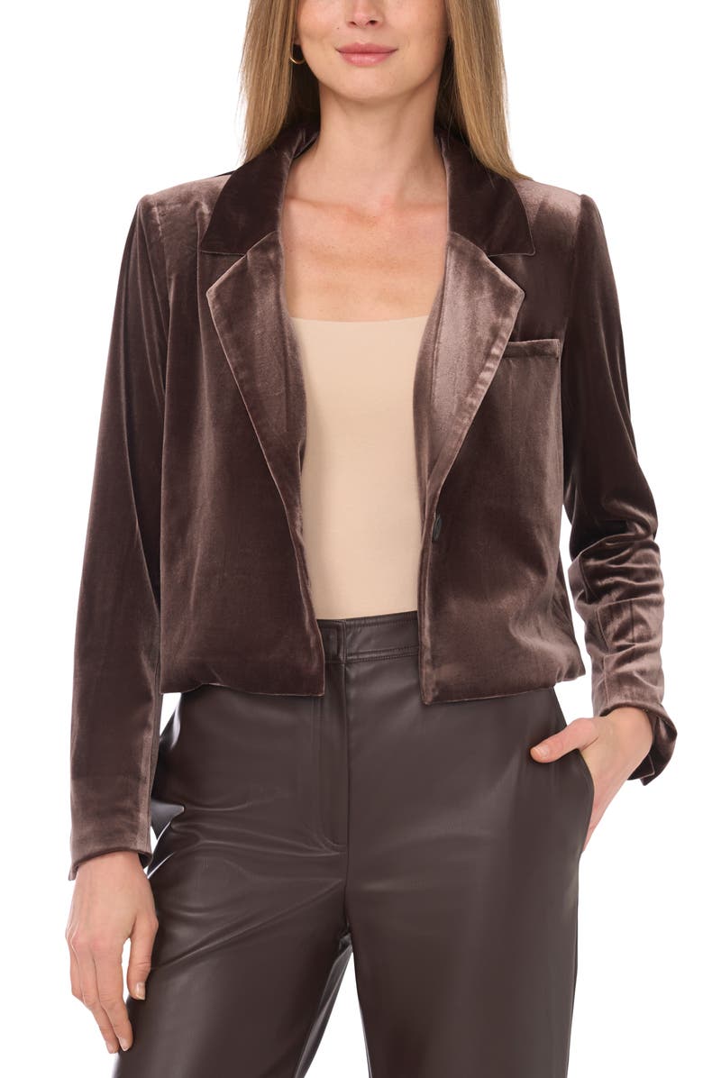 Halogen<sup>®</sup> Velvet Crop Blazer, Alternate, color, Chocolate
