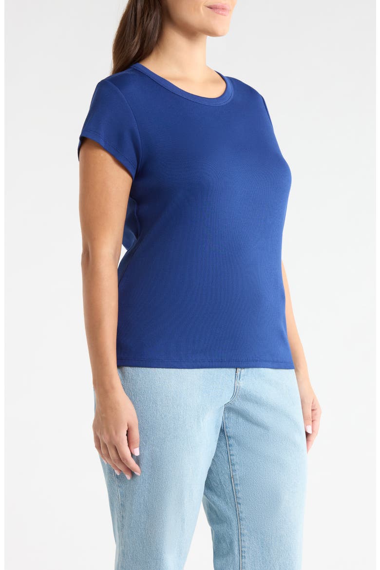 Rib Crewneck Organic Cotton T-Shirt, Alternate, color, DEEP DIVE