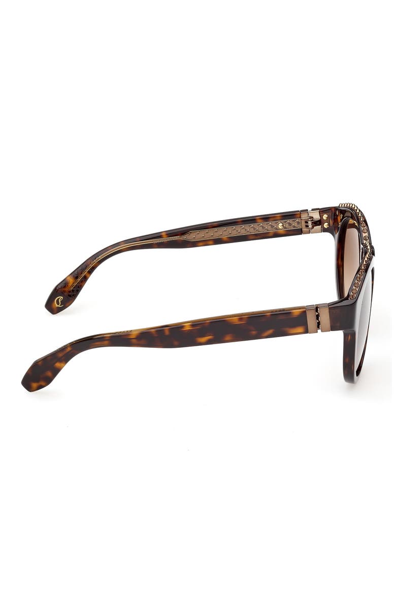 53mm Round Sunglasses, Alternate, color, HAVANA BRONZE / ZEISS GREEN