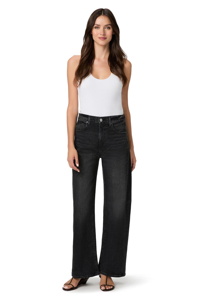 Arellia High Waist Skimmer Barrel Jeans, Alternate, color, OSCURA