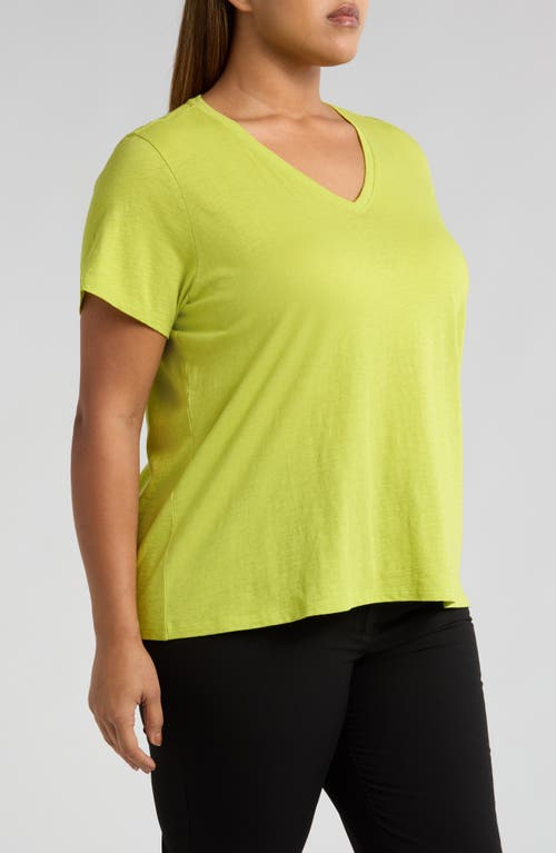 Eileen Fisher Easy V-neck Organic Cotton T-shirt In Chartreuse