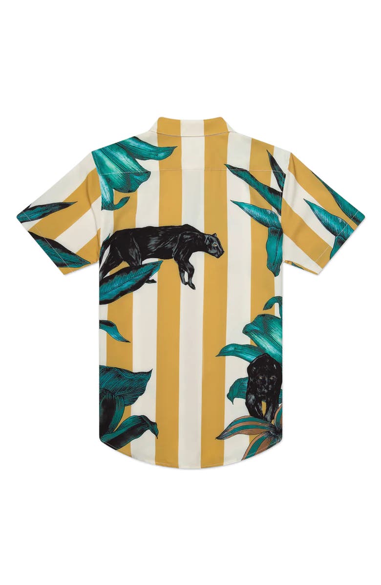 MAVRANS Tailored Fit Pantera Waterproof Short Sleeve Performance Button-Up Shirt, Alternate, color,