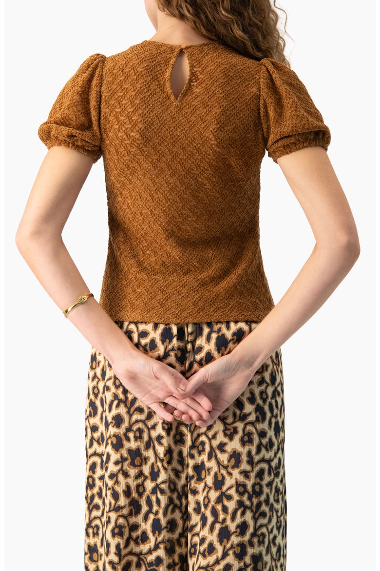 Back- Button Knit Crewneck Blouse, Alternate, color, Light Brown