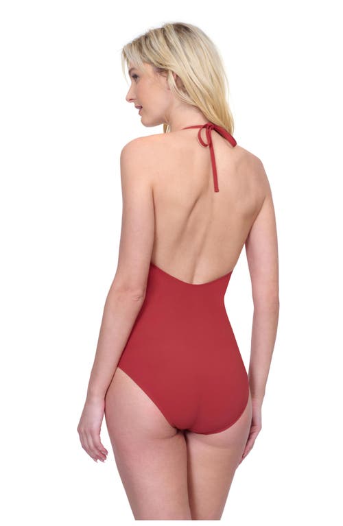 Gottex Day Dreamer High Neck Halter One Piece In Spice