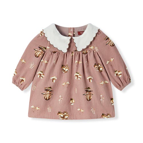 Milkbarn Organic Corduroy Long Sleeve Collared Dress In Brown