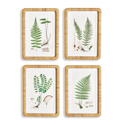 Forest Fern Prints Set of 4