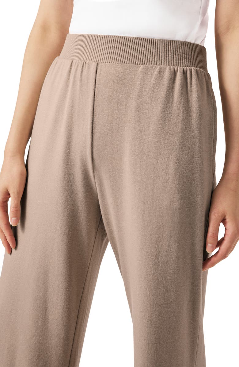 Splendid Brooke Knit Pants, Alternate, color, Fawn