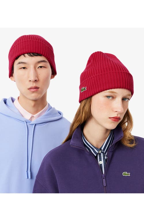 Lacoste Wool Cuff Beanie In Red