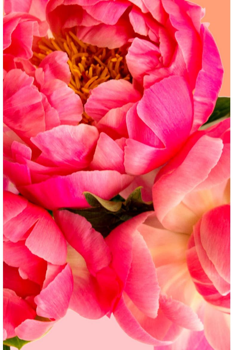 Petal Power Paint by Numbers Kit, Alternate, color, Pink / Peach