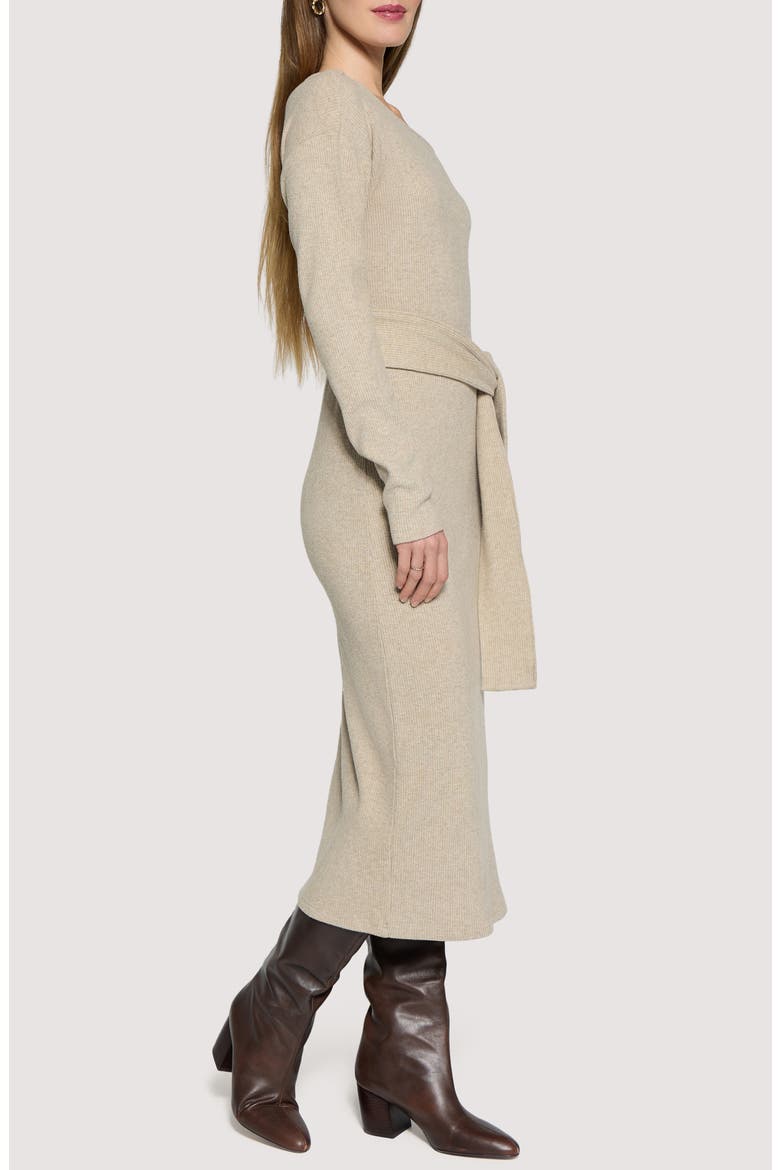 Sloane Long Sleeve Sweater Dress, Alternate, color, GREY
