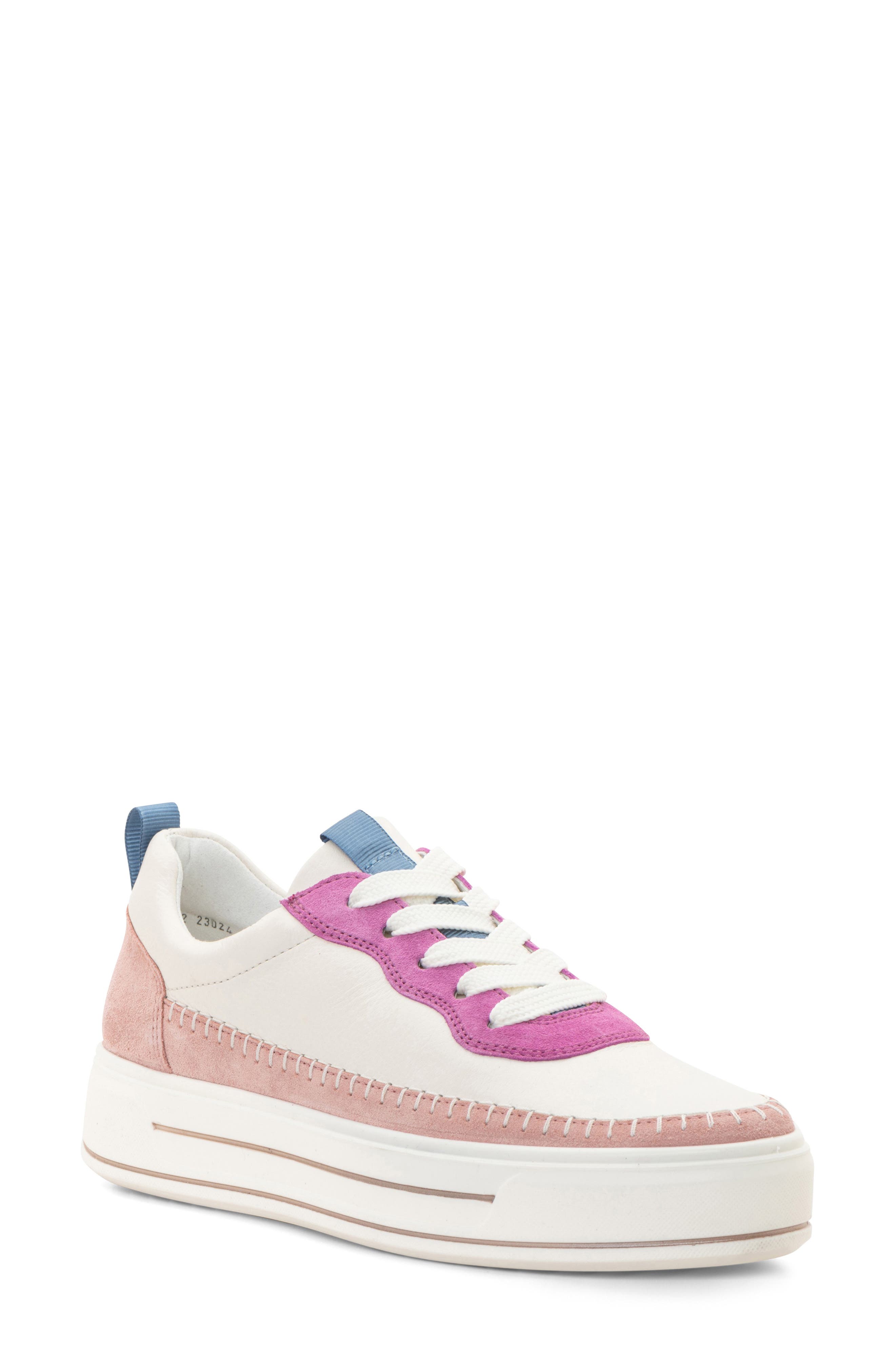  Cream/ Piggy Pink/ Orchid