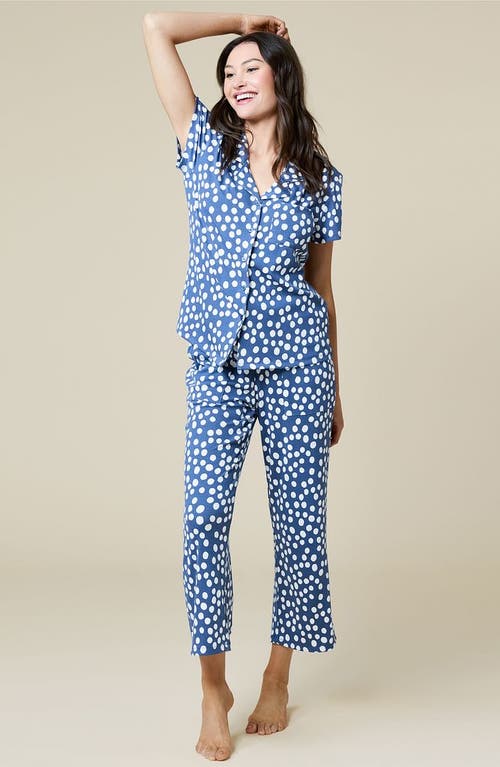 Softies Aria In Indigo Dot
