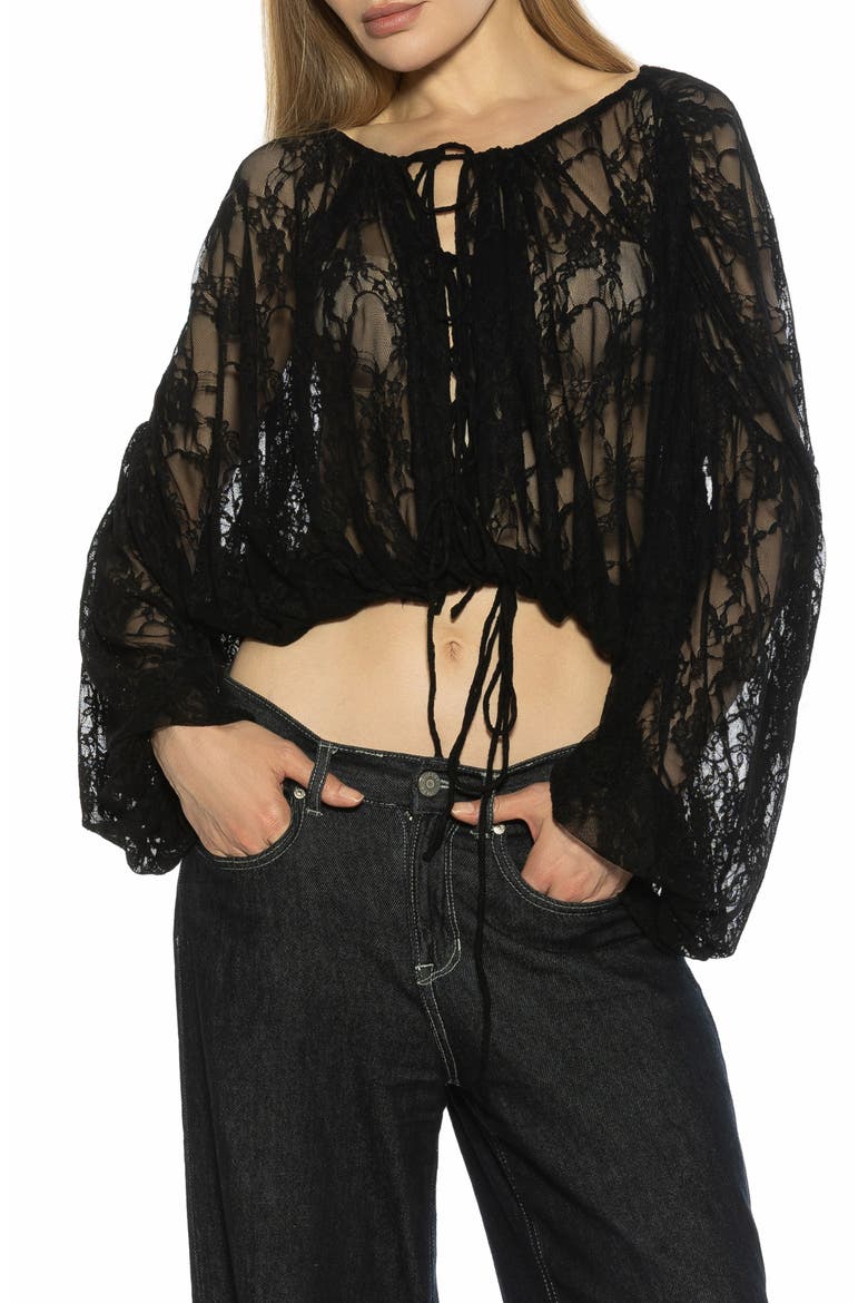 Luca Sheer Lace Top, Main, color, BLACK