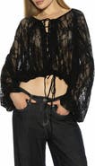 Alexia Admor Luca Sheer Lace Top