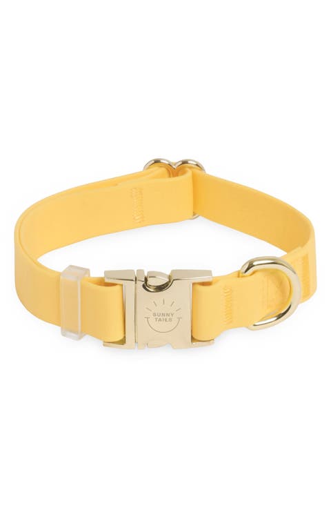 Cloud Waterproof Dog Collar