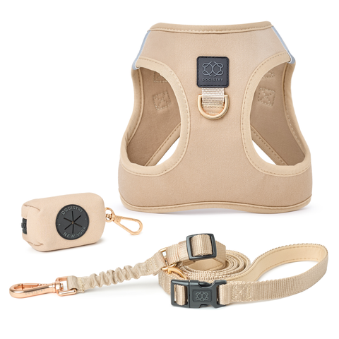 SoHo Dog Walking Set