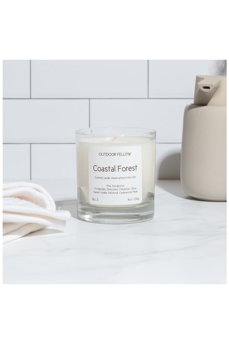 No. 3 Coastal Forest Scented Candle, Alternate, color, COASTAL FOREST
