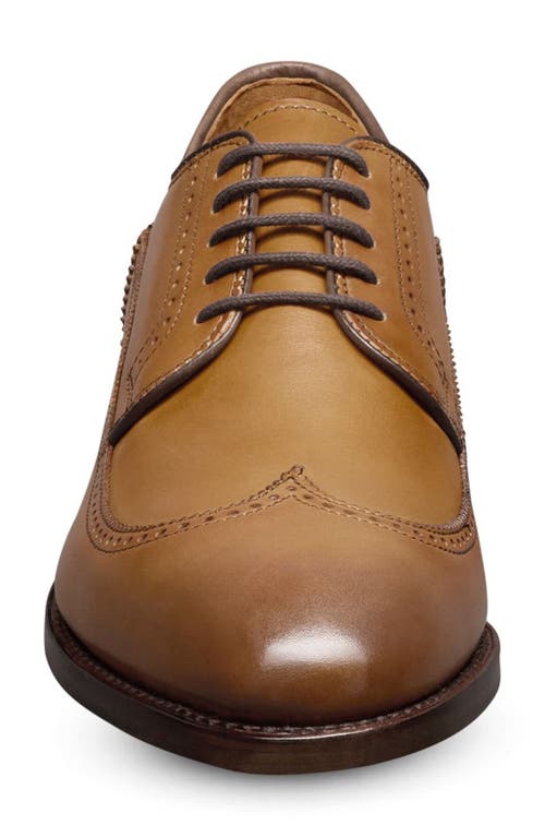 Allen Edmonds Winston Wingtip Derby In Brown