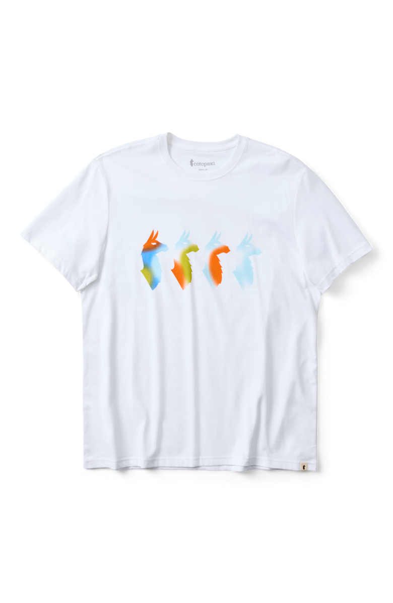 Cotopaxi Cuatro Bitmap T-Shirt - Men's, Alternate, color, White