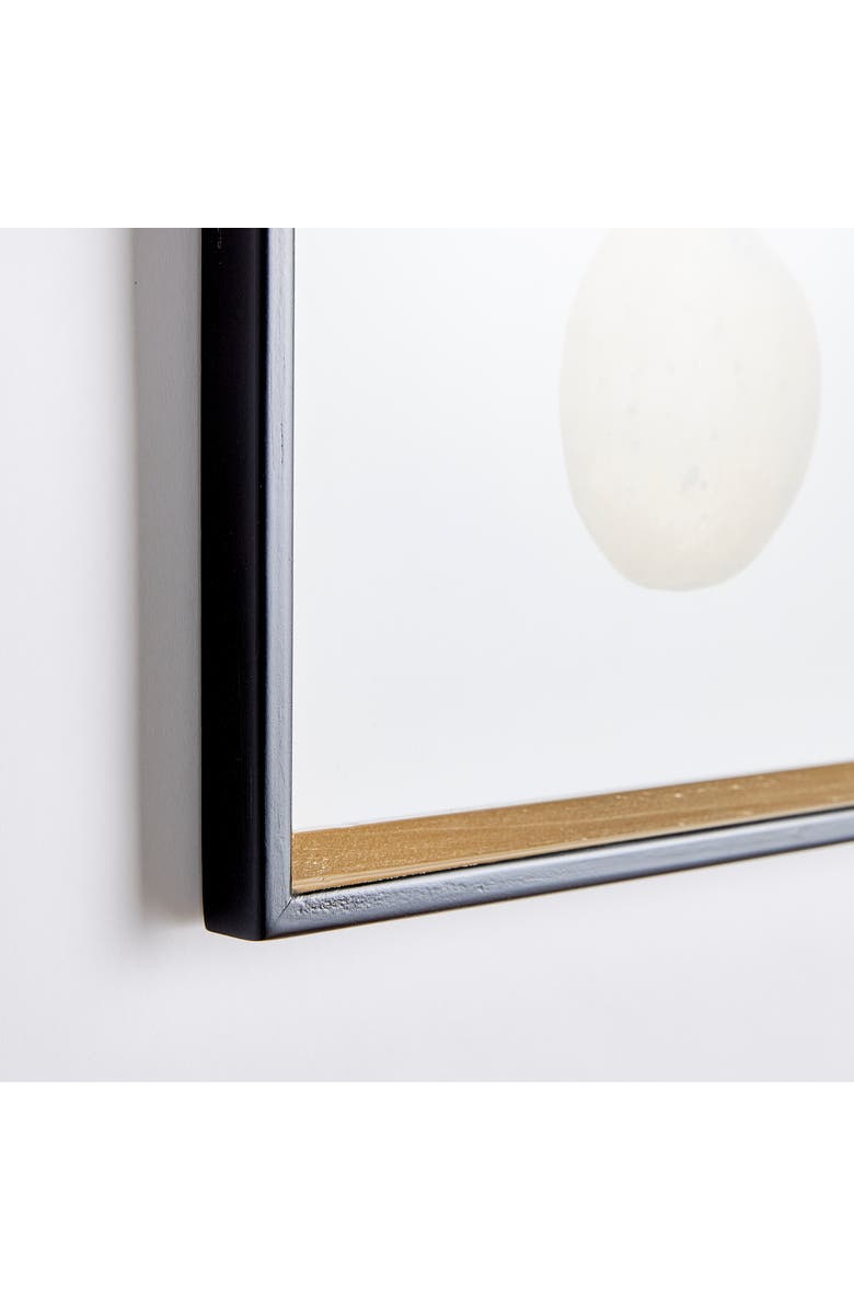 Napa Home & Garden Assorted Fruits Study Framed Wall Art Set of 9, Alternate, color, Black