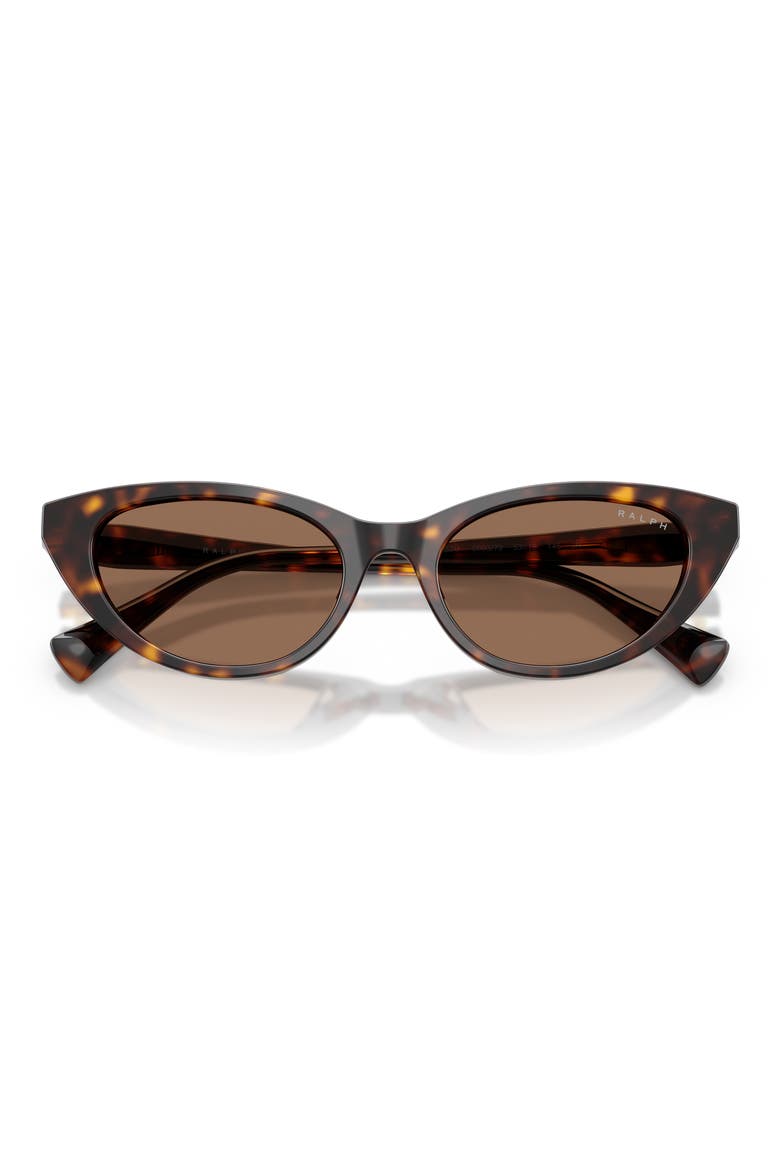 53mm Gradient Cat Eye Sunglasses, Alternate, color, SHINY DARK HAVANA / BROWN