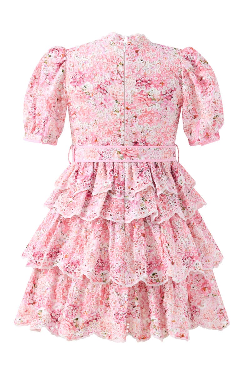 Marlo Kids Julietta Cotton Embroidered Mini Dress, Alternate, color, Floral