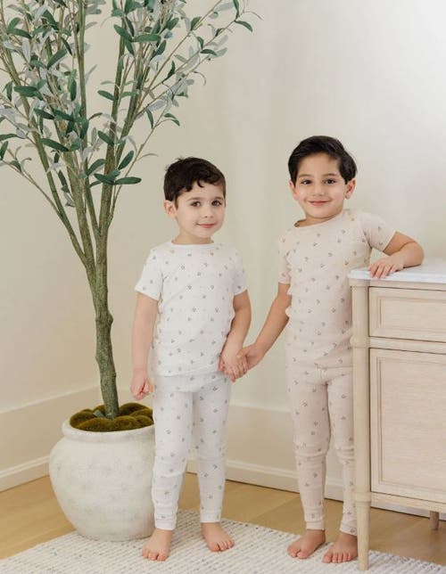 Ely's & Co. Floral Print Collection In Gray