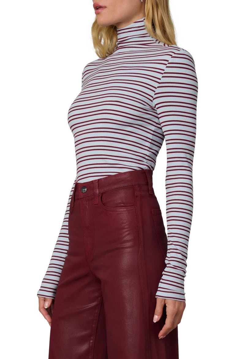 The Tony Stripe Turtleneck Top, Alternate, color, SKY/SYRAH STRIPE