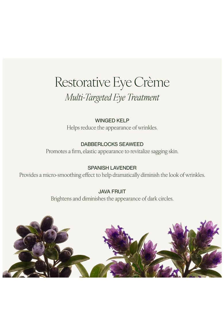 Restorative Eye Crème, Alternate, color, NO COLOR
