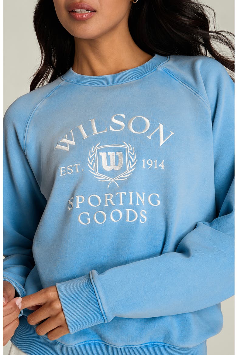 Classic Graphic Crewneck Sweatshirt, Alternate, color, ALLY BLUE