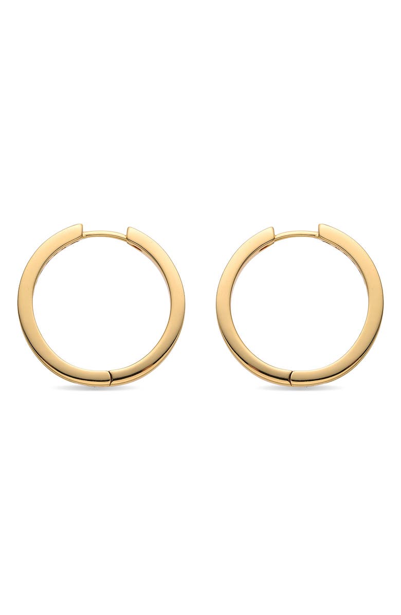 EYE CANDY LOS ANGELES Marie CZ Hoop Earrings, Alternate, color, Gold