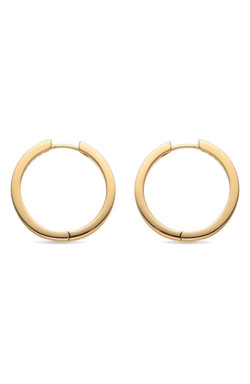 Eye Candy Los Angeles Marie Cz Hoop Earrings