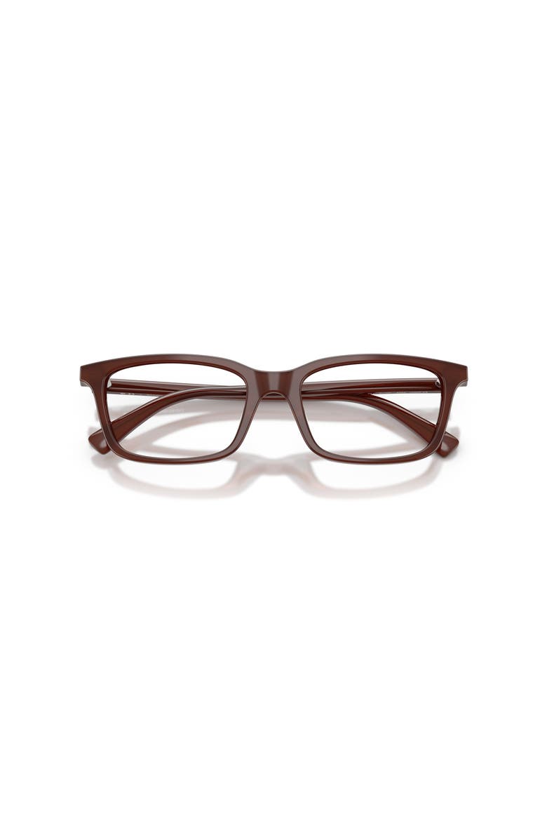 53mm Cat Eye optical glasses, Alternate, color, Brown