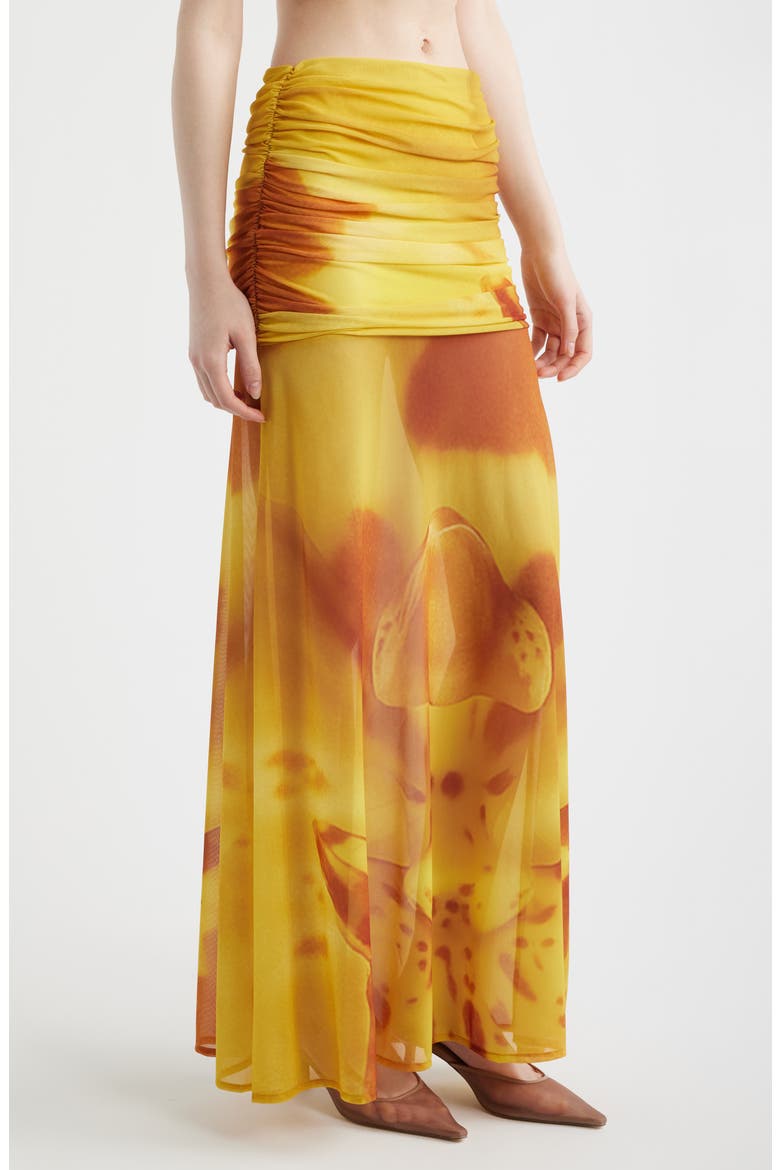 Susurro Print Semi Sheer Maxi Skirt, Alternate, color, SOLEIL